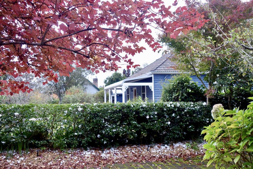 Poet'S Cottage - Fireplace, Close To Treks Wentworth Falls Bagian luar foto