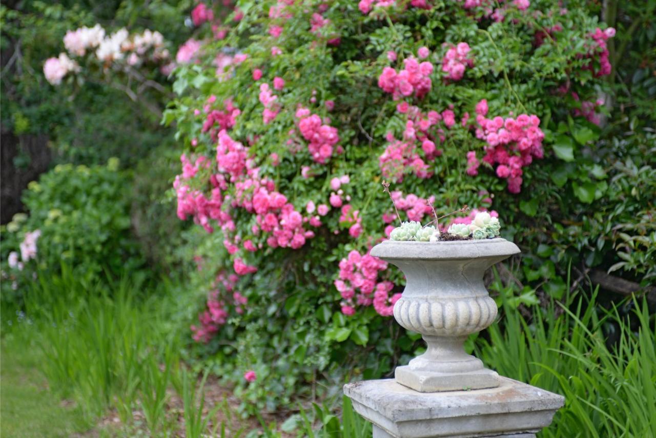 Poet'S Cottage - Fireplace, Close To Treks Wentworth Falls Bagian luar foto